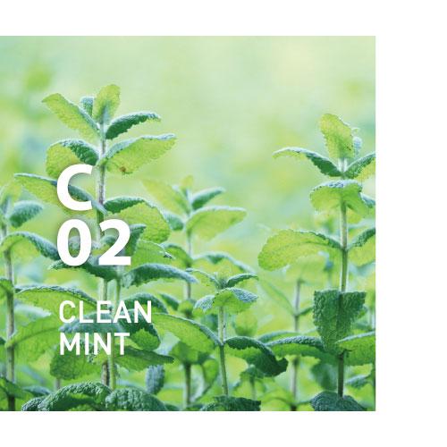 @aroma Pure Essential oil C02 CLEAN MINT 10ml