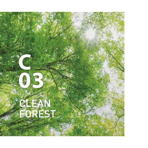 @aroma Pure Essential oil C03 CLEAN FOREST 10ml